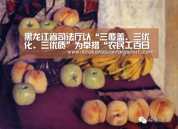 黑龙江省司法厅以“三覆盖、三优化、三优质”为举措“农民工百日维权”活动圆满收官|星空平台(图4) 星空官方