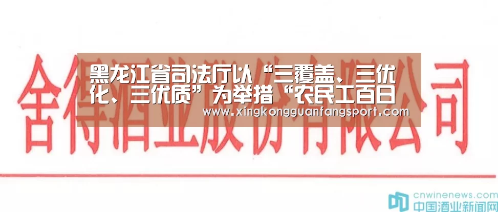 黑龙江省司法厅以“三覆盖、三优化、三优质”为举措“农民工百日维权”活动圆满收官|星空平台(图1) 星空官网