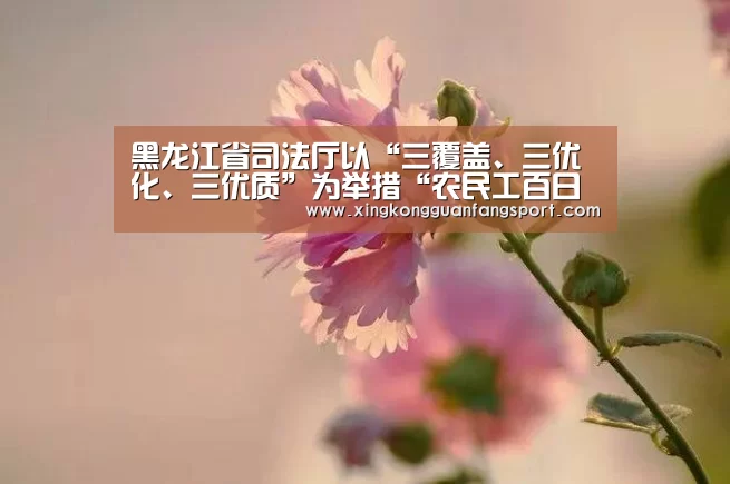 黑龙江省司法厅以“三覆盖、三优化、三优质”为举措“农民工百日维权”活动圆满收官|星空平台(图3) 星空官方