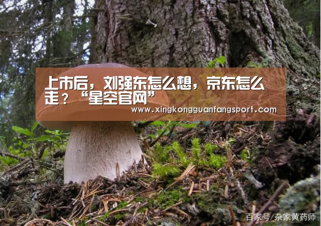上市后,刘强东怎么想,京东怎么走?“星空官网”(图2) 星空登录