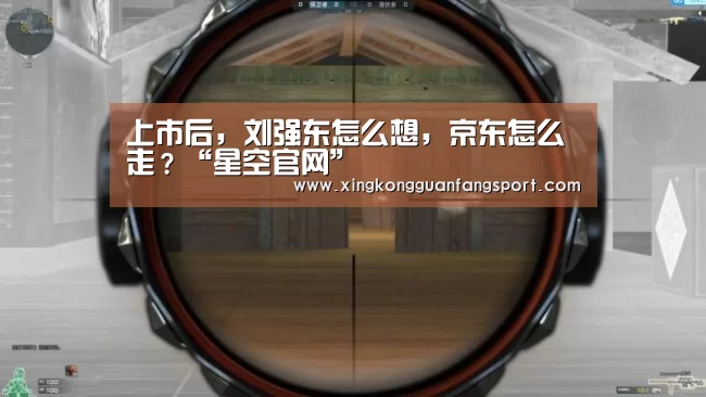 上市后,刘强东怎么想,京东怎么走?“星空官网”(图1) 星空官网