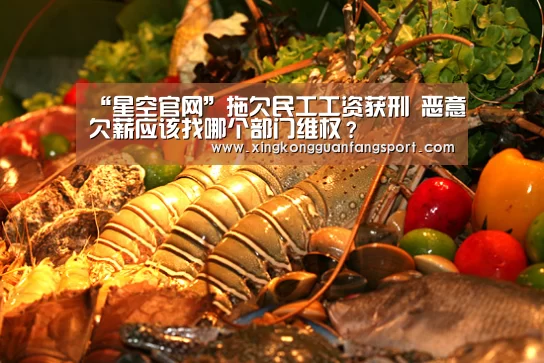 “星空官网”拖欠民工工资获刑 恶意欠薪应该找哪个部门维权?(图2) 星空官网